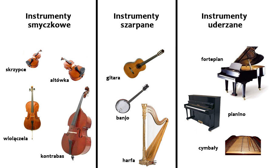 Podział instrumentów strunowych