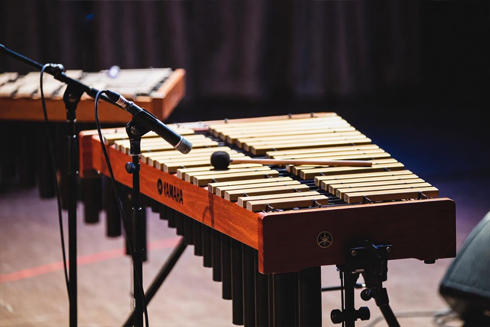 Instrument sztabkowy z drewnianymi sztabkami i pałką, przygotowany do koncertu z mikrofonem